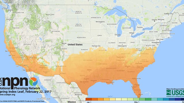 Spring Index; Image credit National Phenology Network