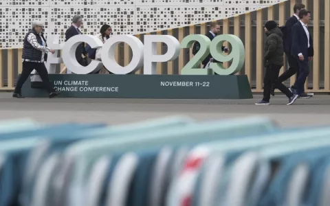 COP29: What Were The Highlights? thumbnail