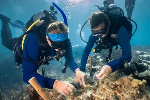 Hope For Coral Reefs thumbnail