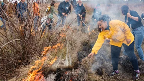 Cultural Burning To Curb Wildfires thumbnail