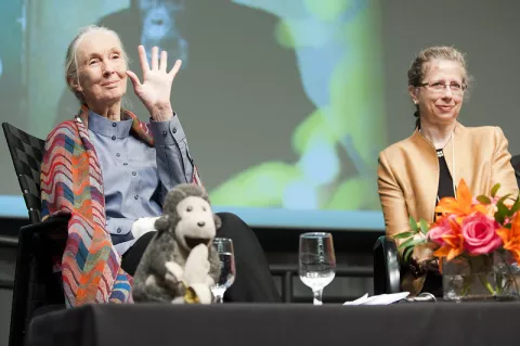 Mensaje de esperanza de Jane Goodall thumbnail