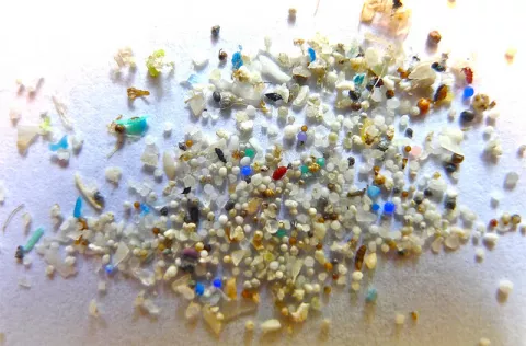 The Growing World Of Microplastics thumbnail