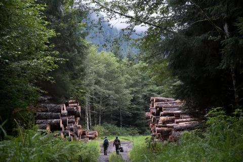 Protecting Tongass National Forest thumbnail